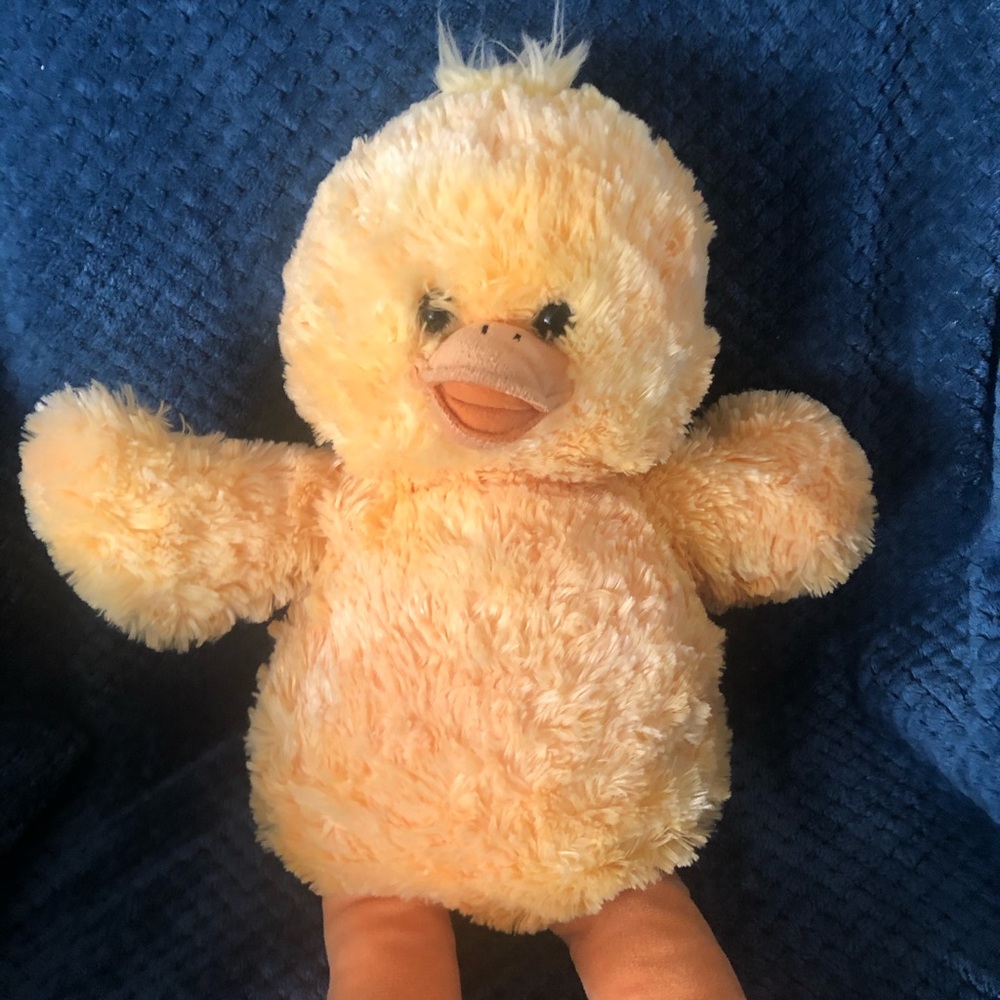 Duck